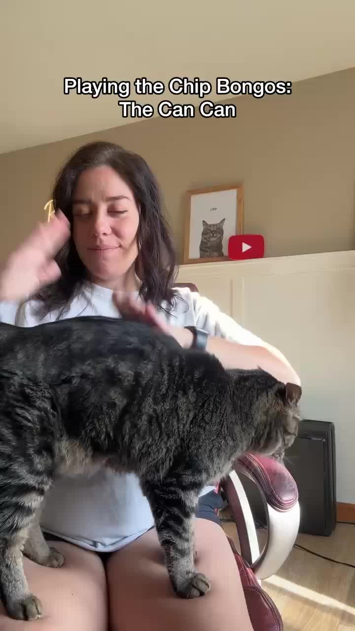 @Chip The Manx