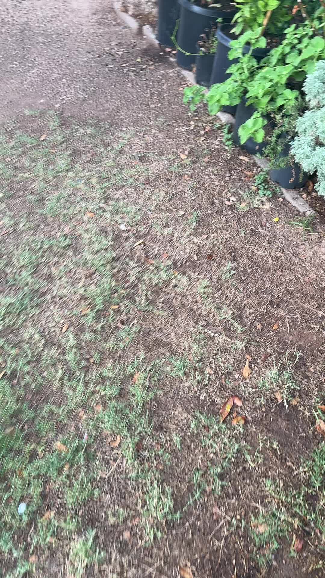 @DawnDaRae 🤘🏽