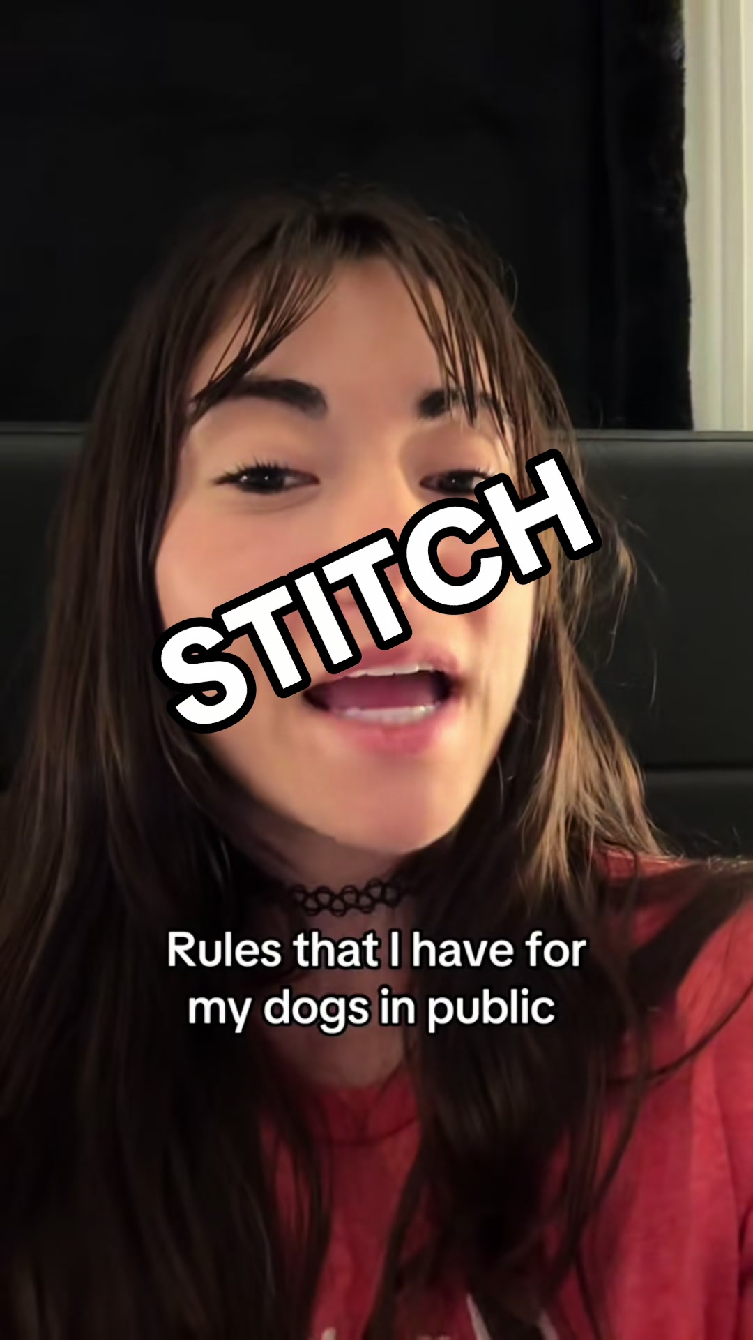 @Kate&rsquo;s Pack