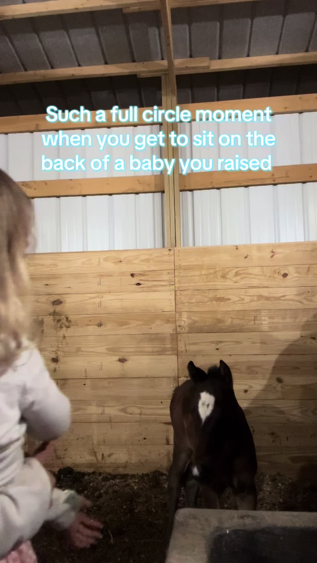 @Living Lucky Quarter Horses
