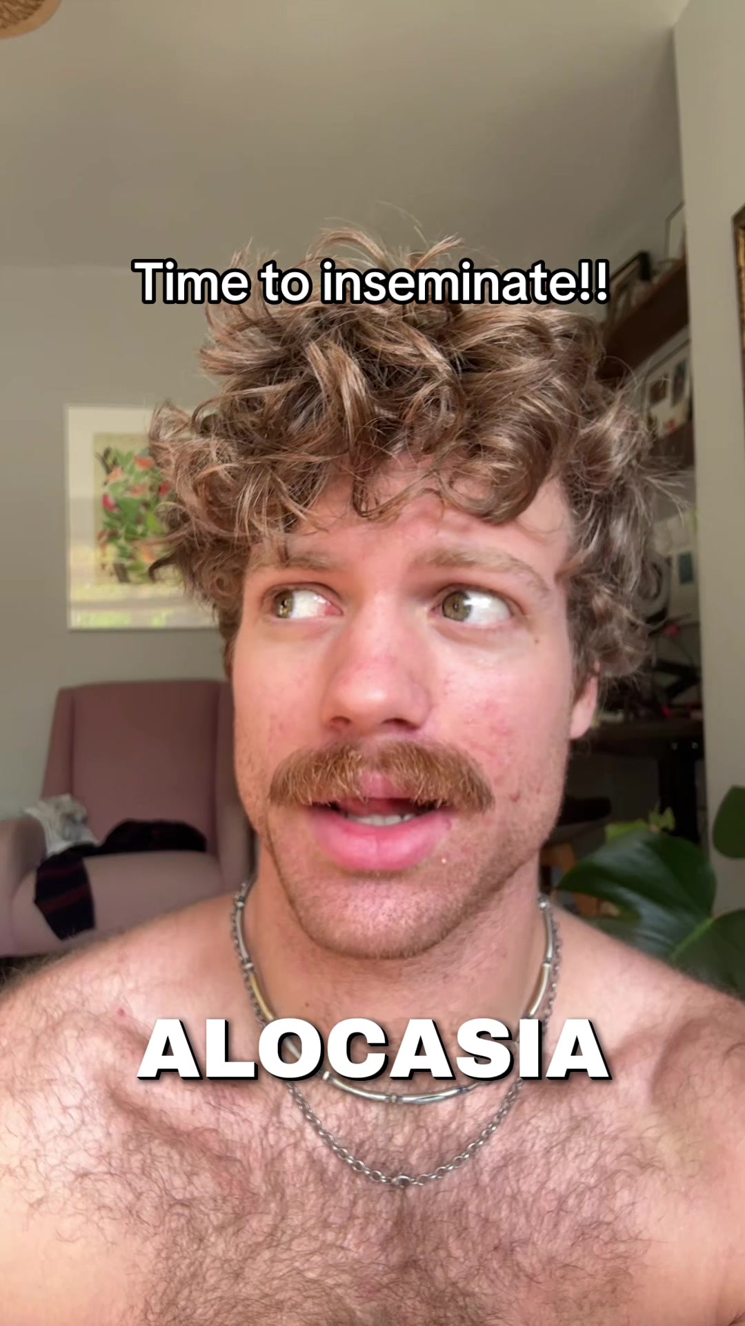 @Ned