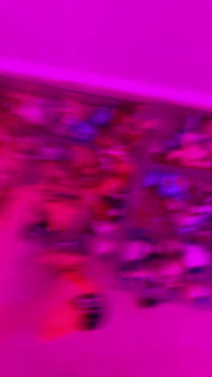 @ℒ𝒜ℛ𝒜𝒳ℒℐ𝒵𝒜🐴🪽🐼🪽