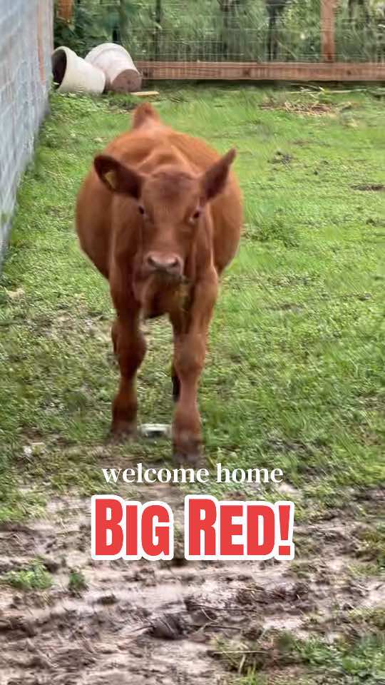 @Kitzman&rsquo;s Farm Sanctuary