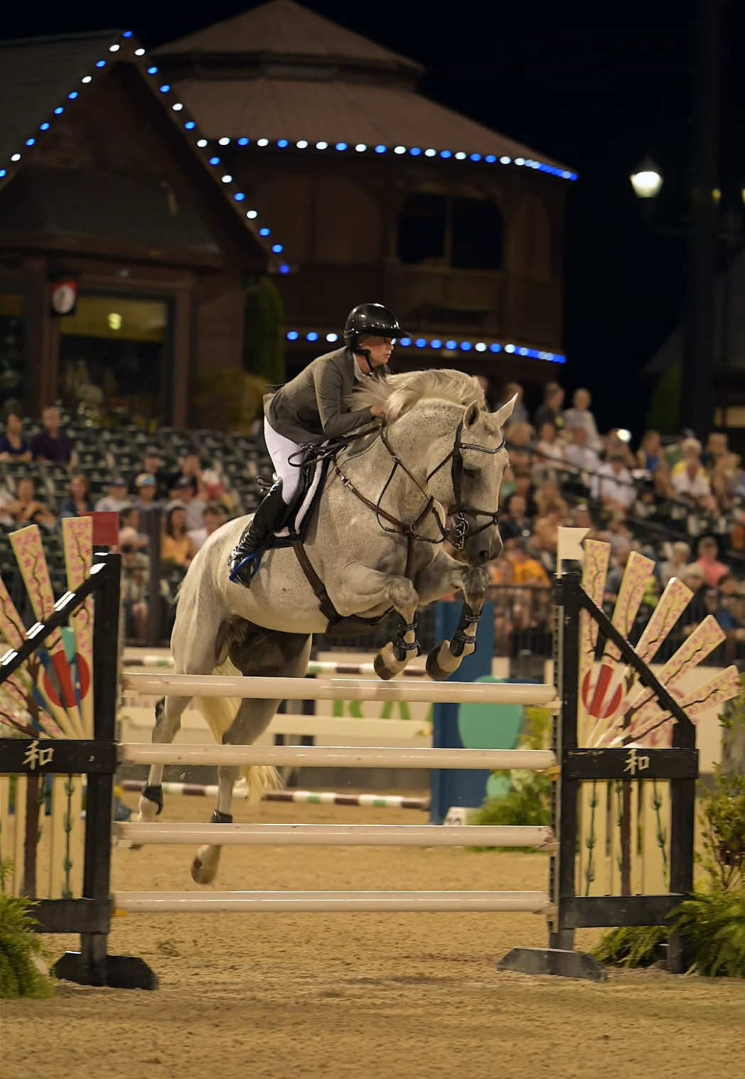 @Free Ride Equestrian