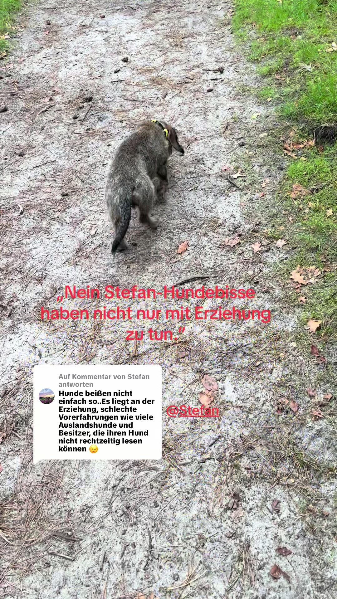 @Ichsch&uuml;tzekinderundtiere