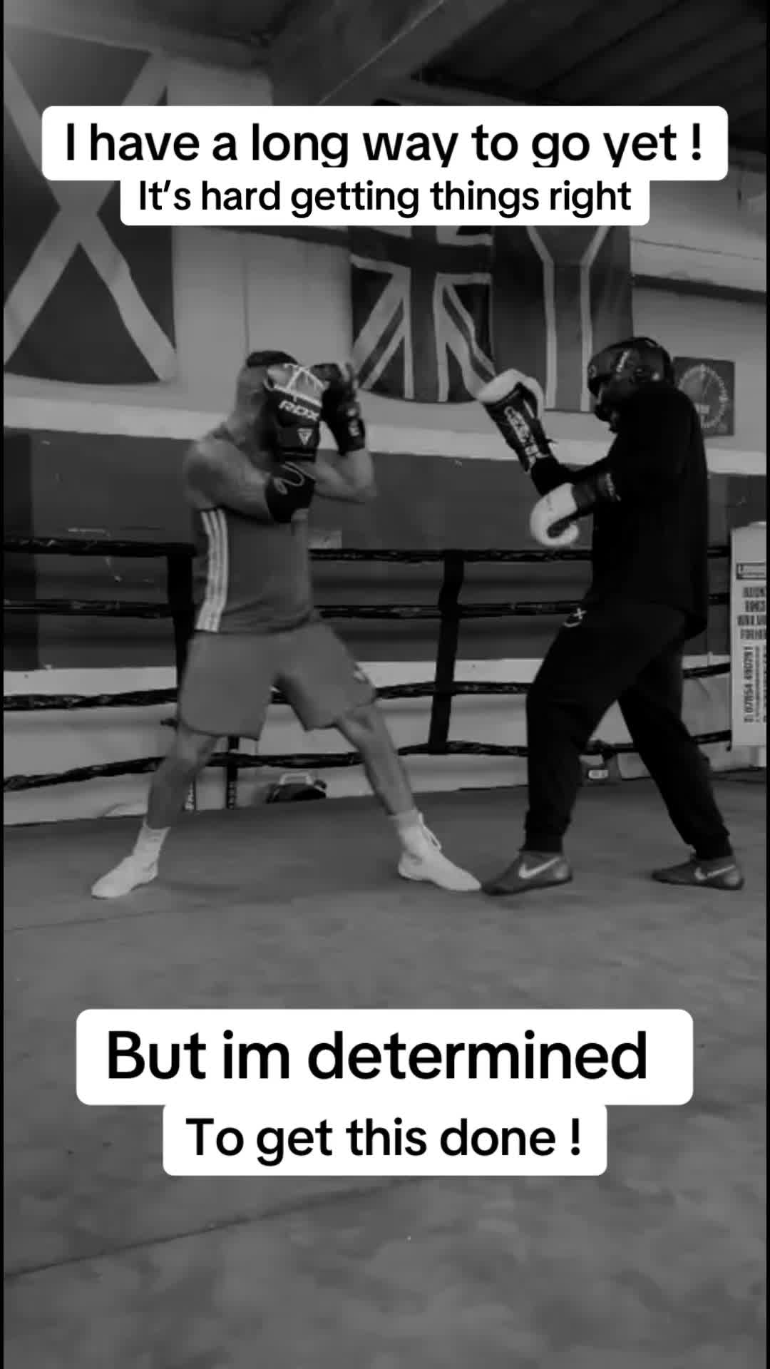 @kayafield