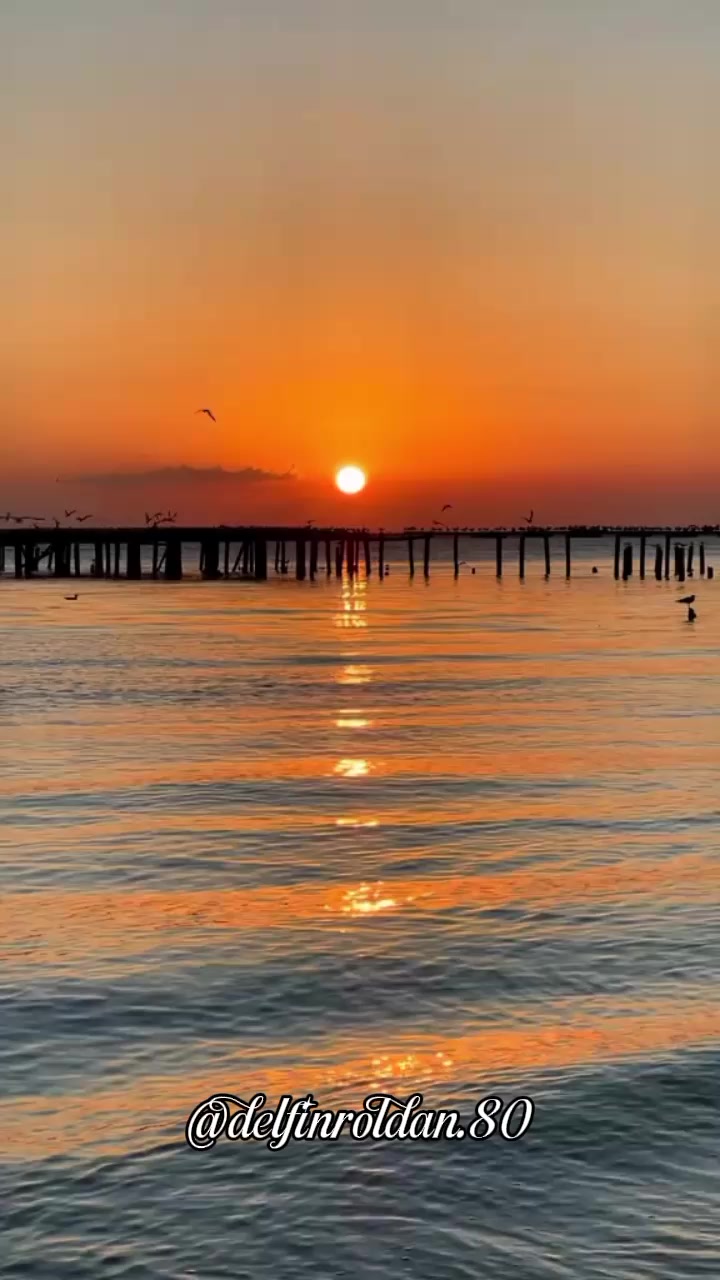 @Delf&iacute;n🇪🇨