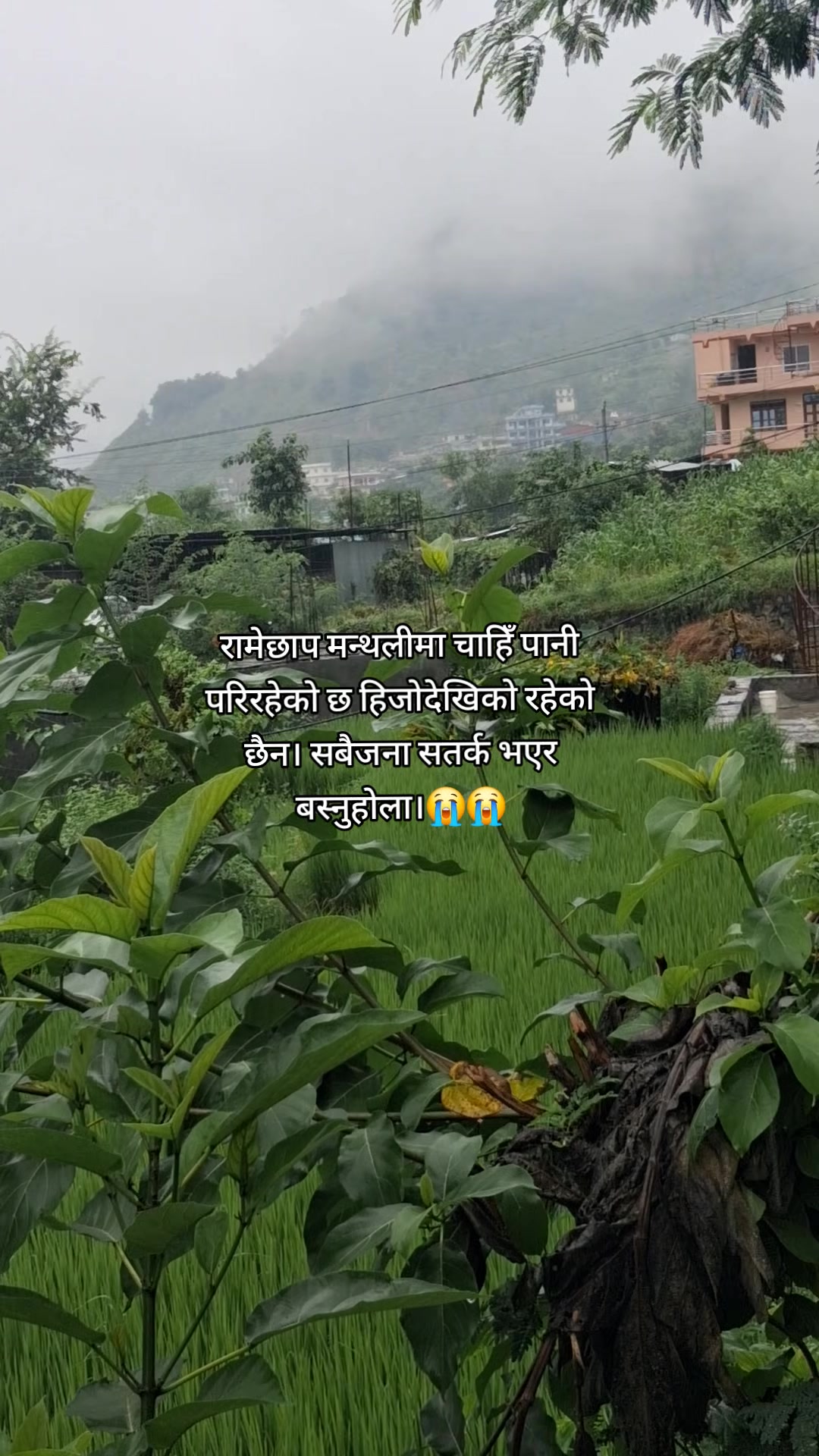 @Brinda Karki