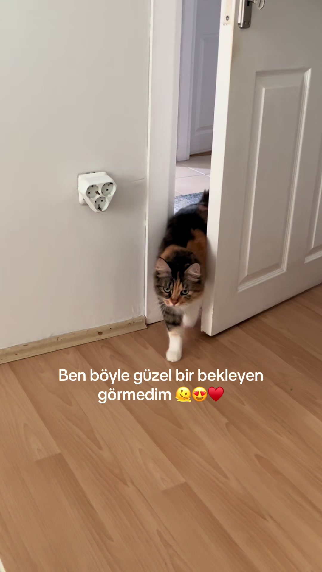 @konusankediminnos