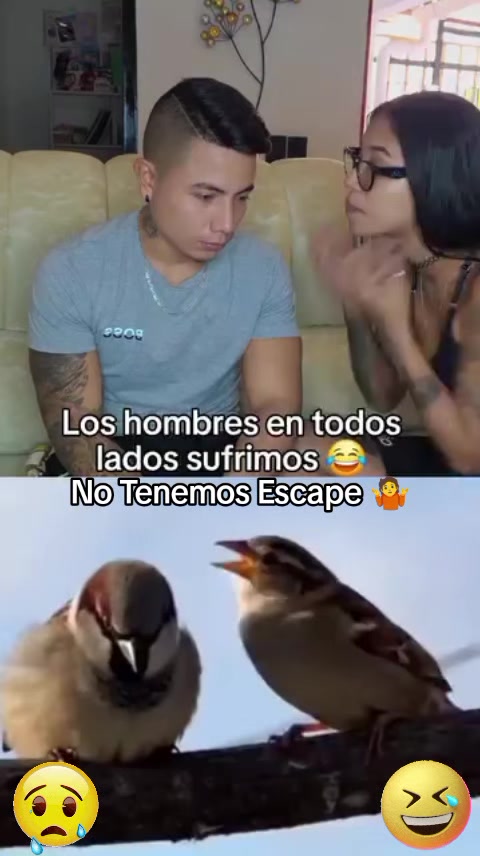 @Luis Trejo Piscui