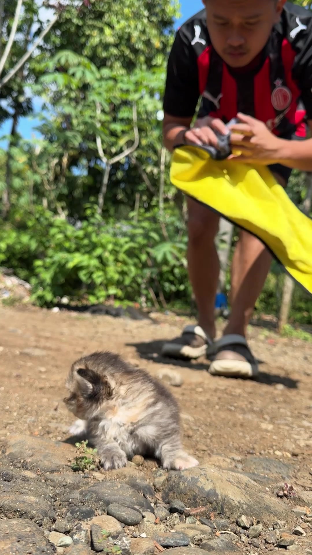 @Republic Of Cat