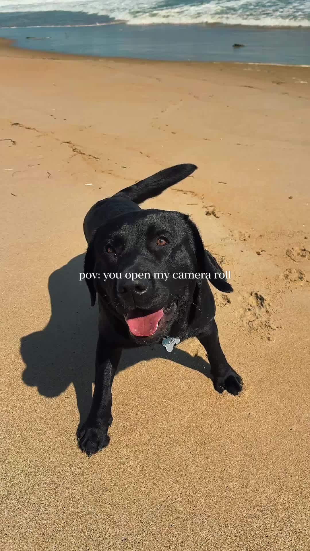@DennisTheBlackLab