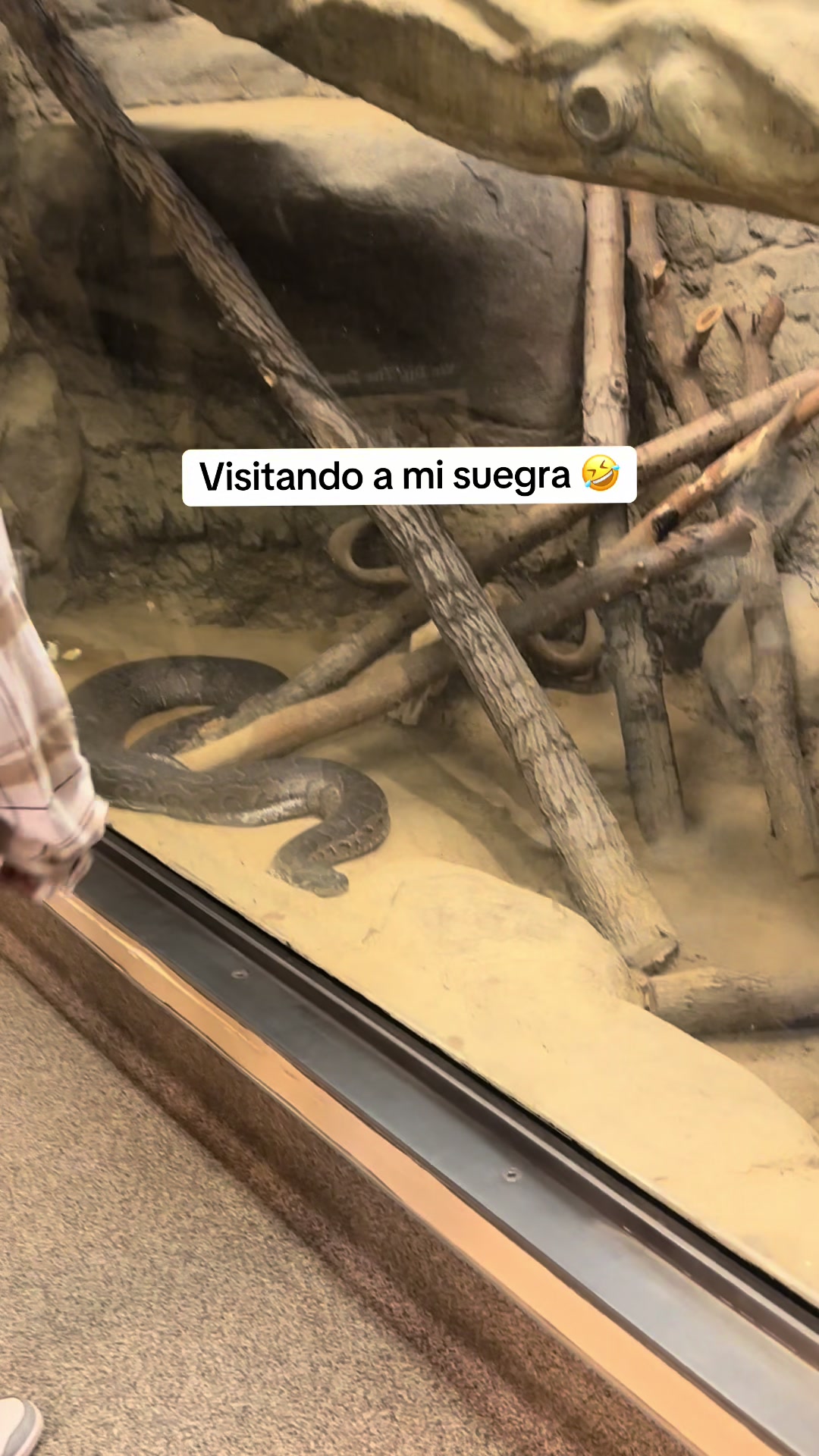@Mayra P&eacute;rez &hearts;️🫶