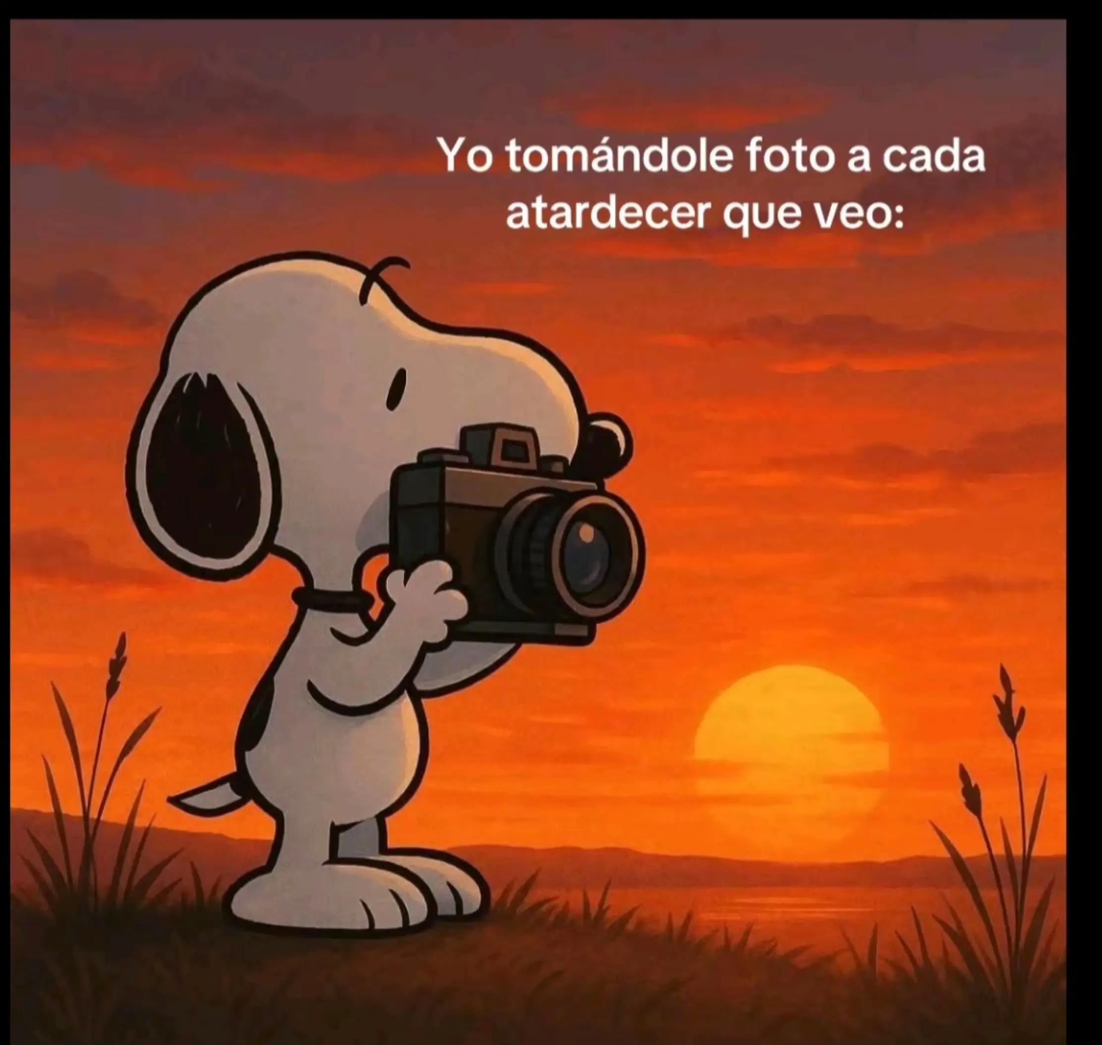 @estrella rivera