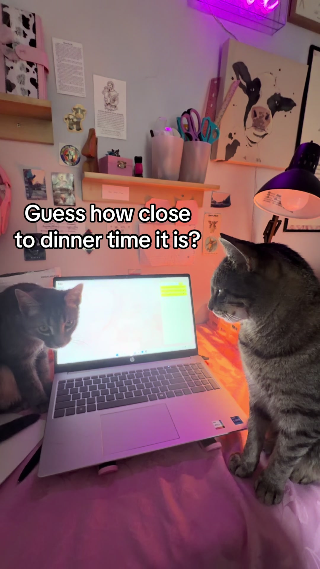 @KittyUsurper