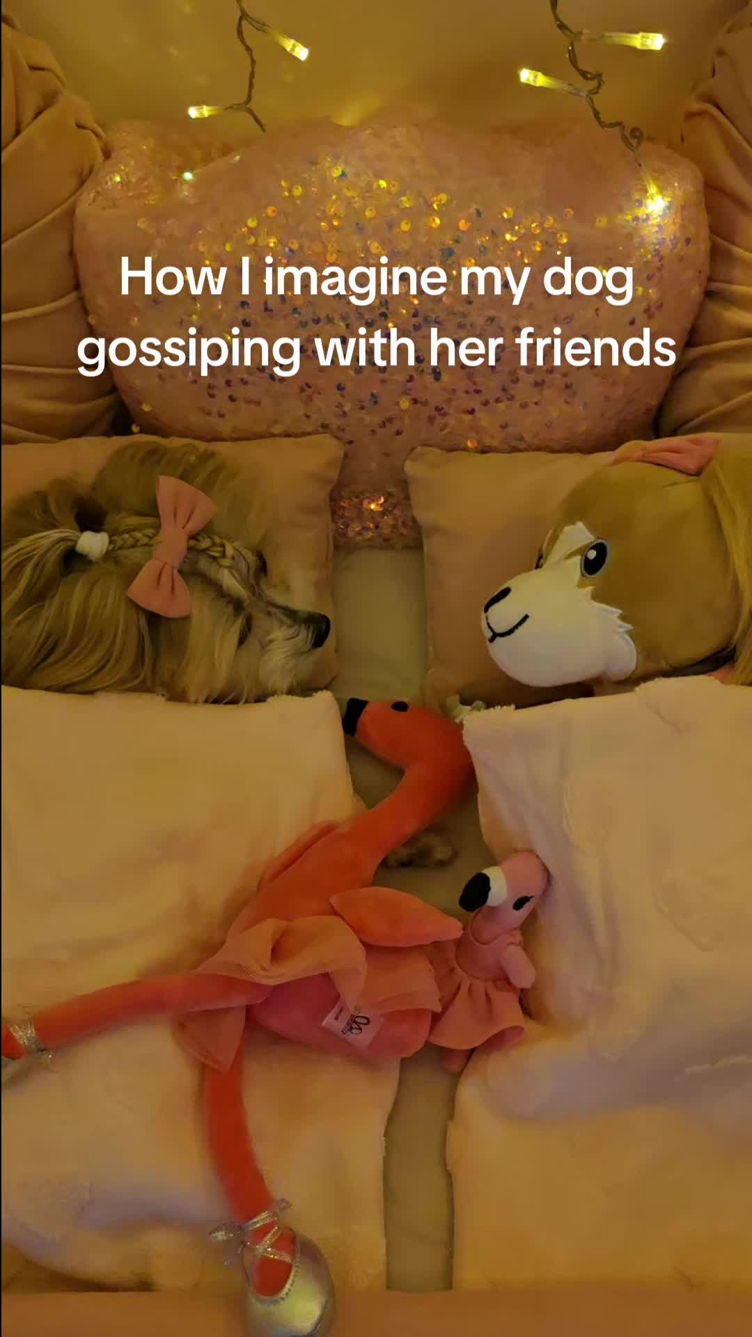 @Peake Pups