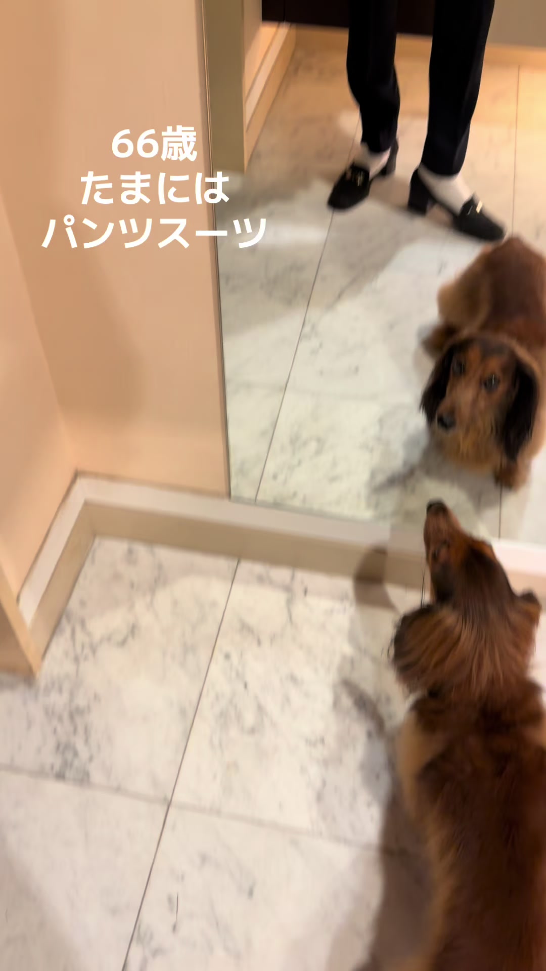 @pon _sachie