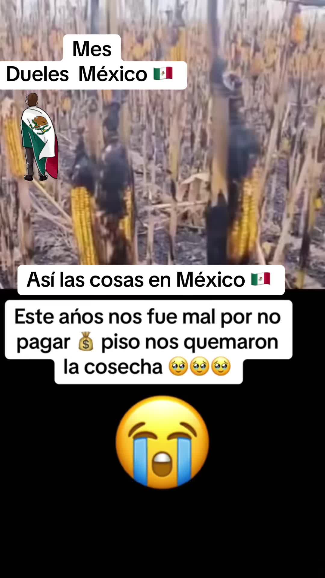 @Elgatoparado-05