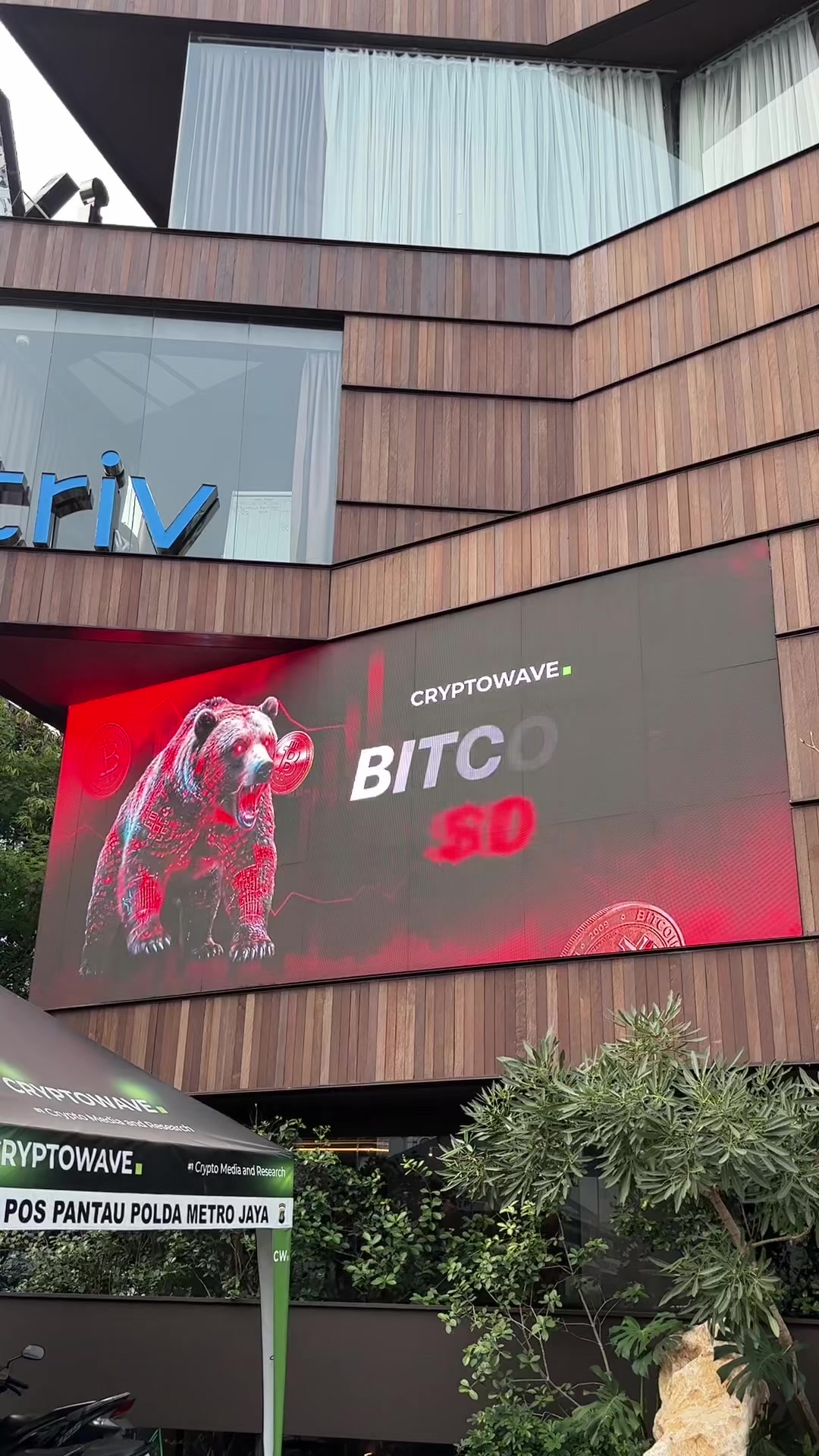 @CryptoWave