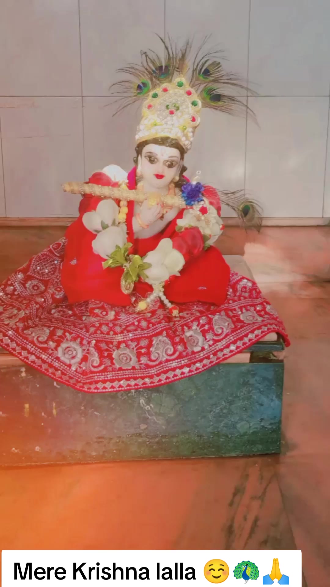 @SharbanSunitaRoyYadav861🤞❣