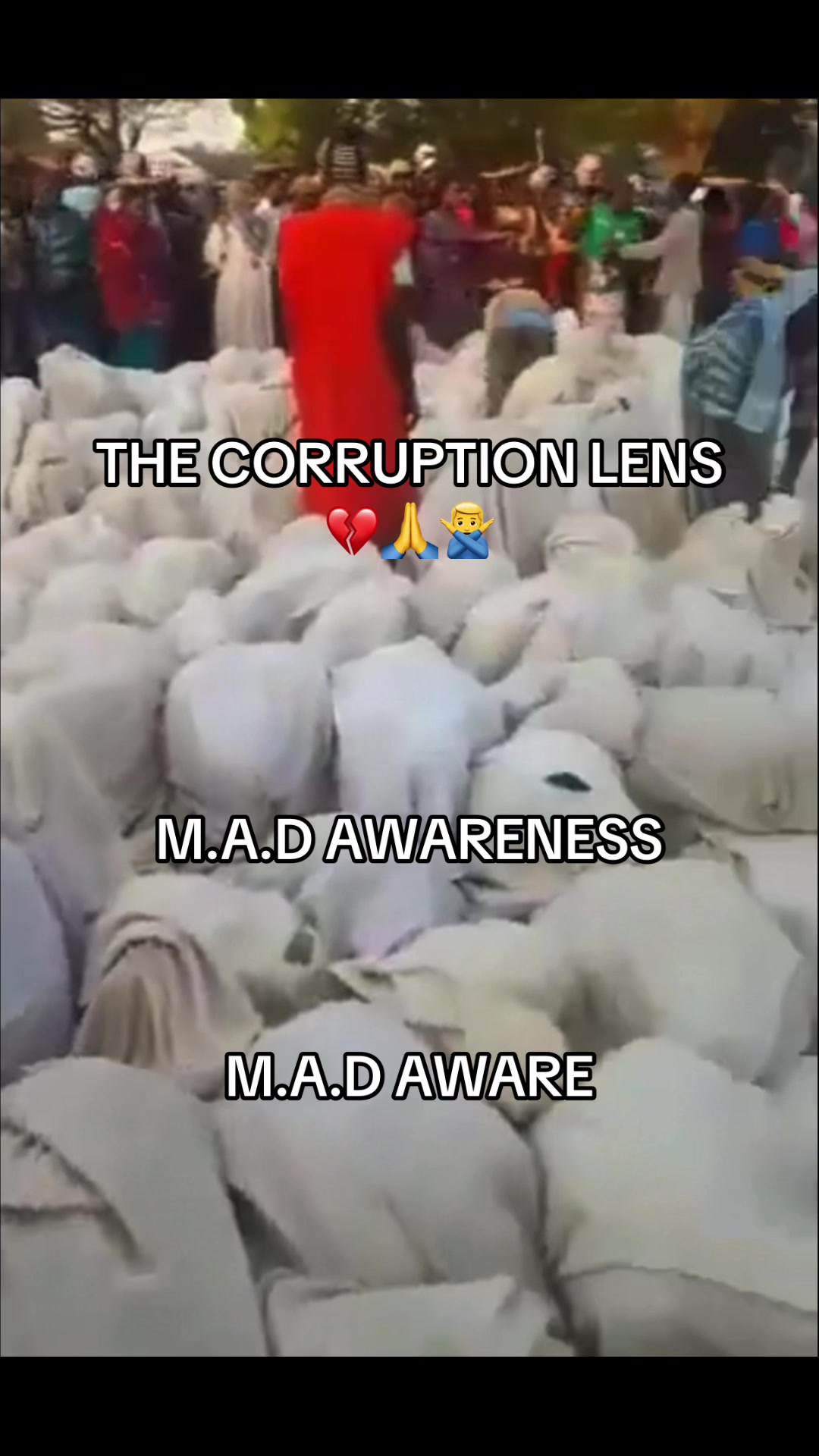 @THE CORRUPTION LENS