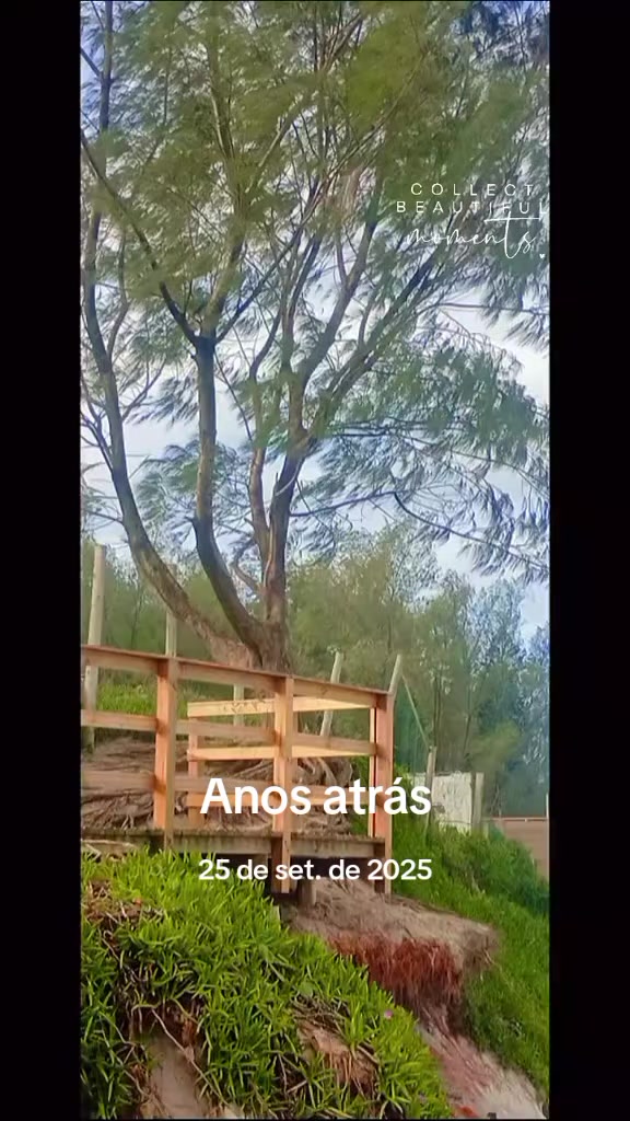 @merciap354