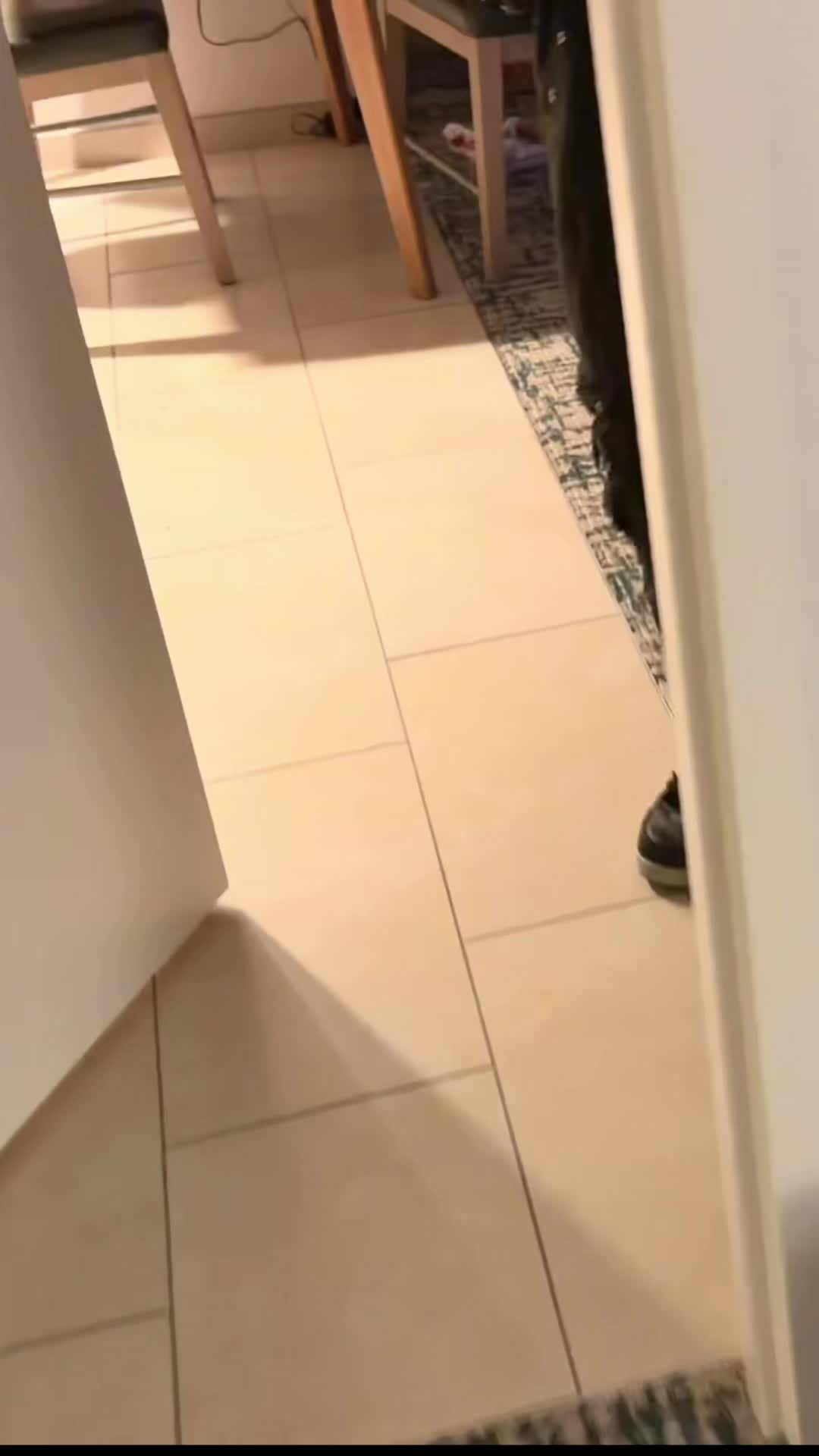 @SEPSISS