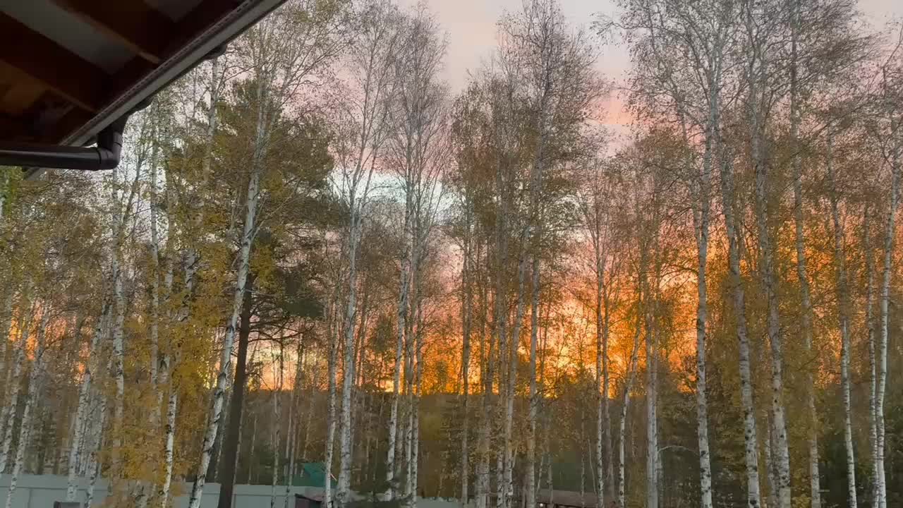 @Valentina.