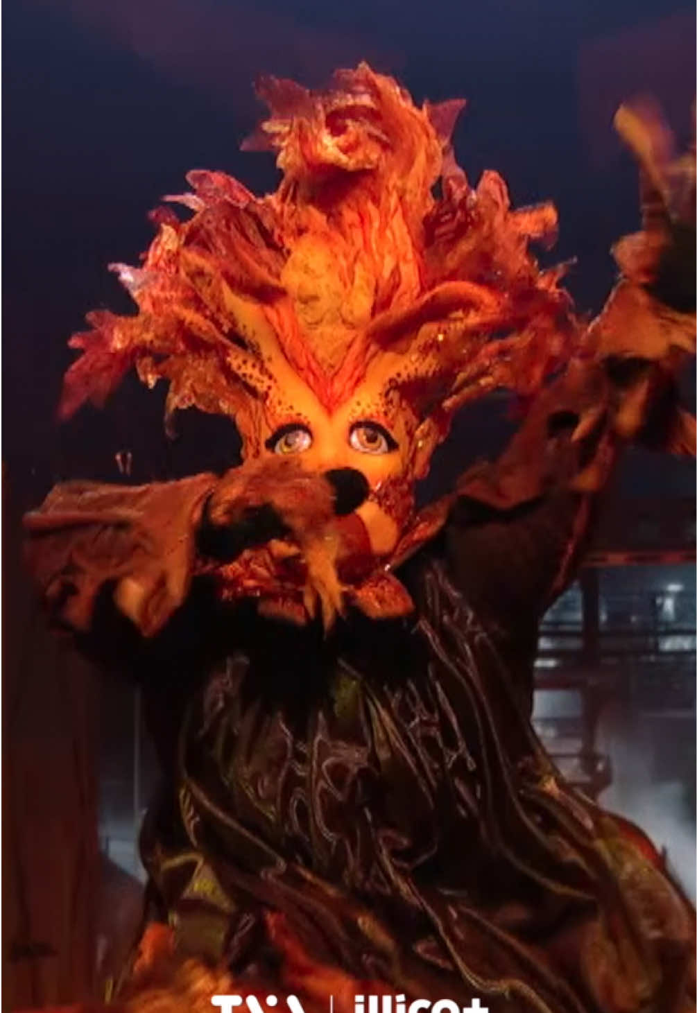 @Chanteurs masqu&eacute;s