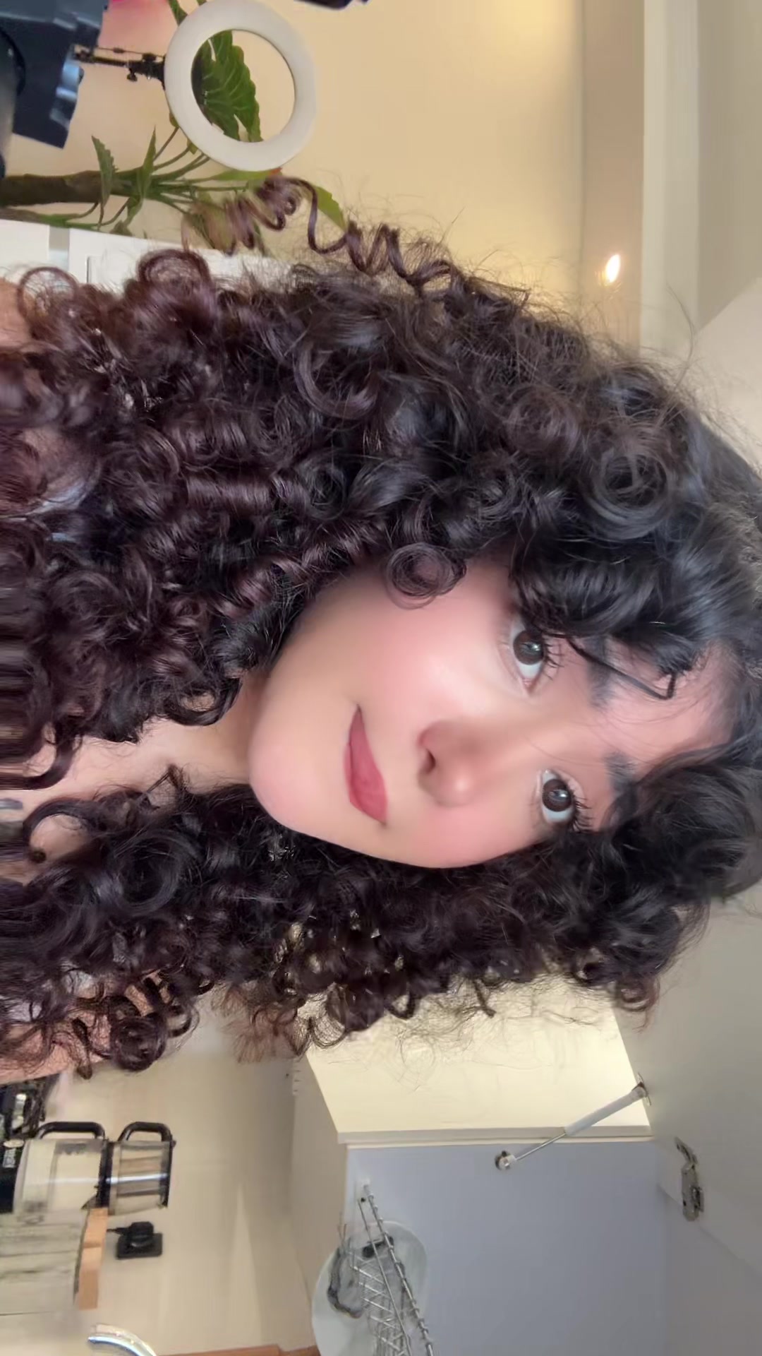 @farnushesmi