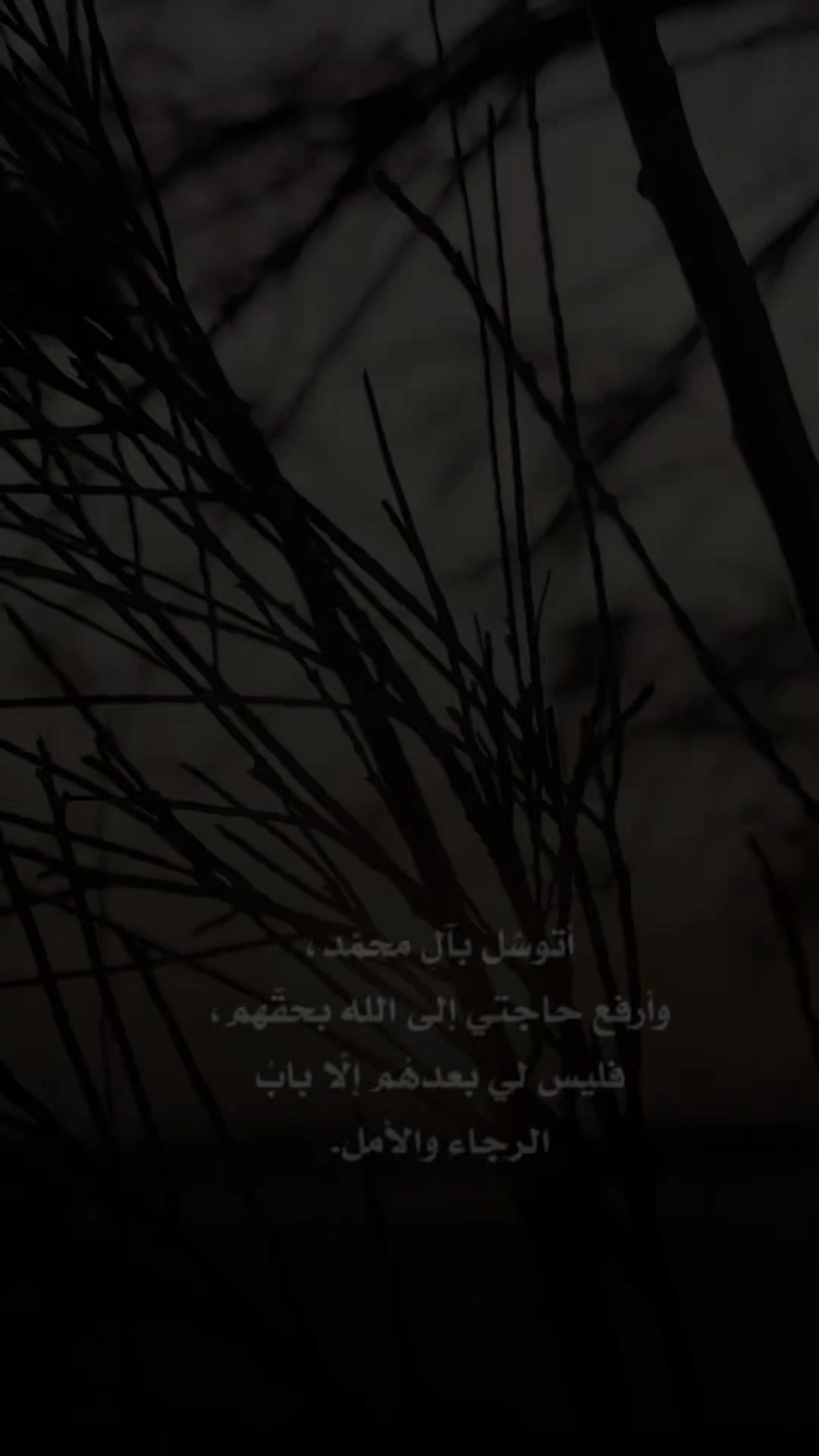 @واثقه بالله