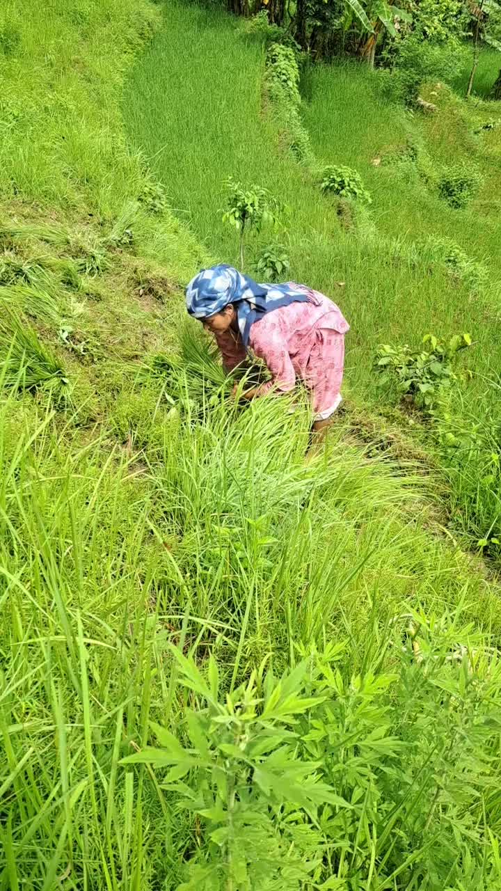 @krishna Bista oli❤️