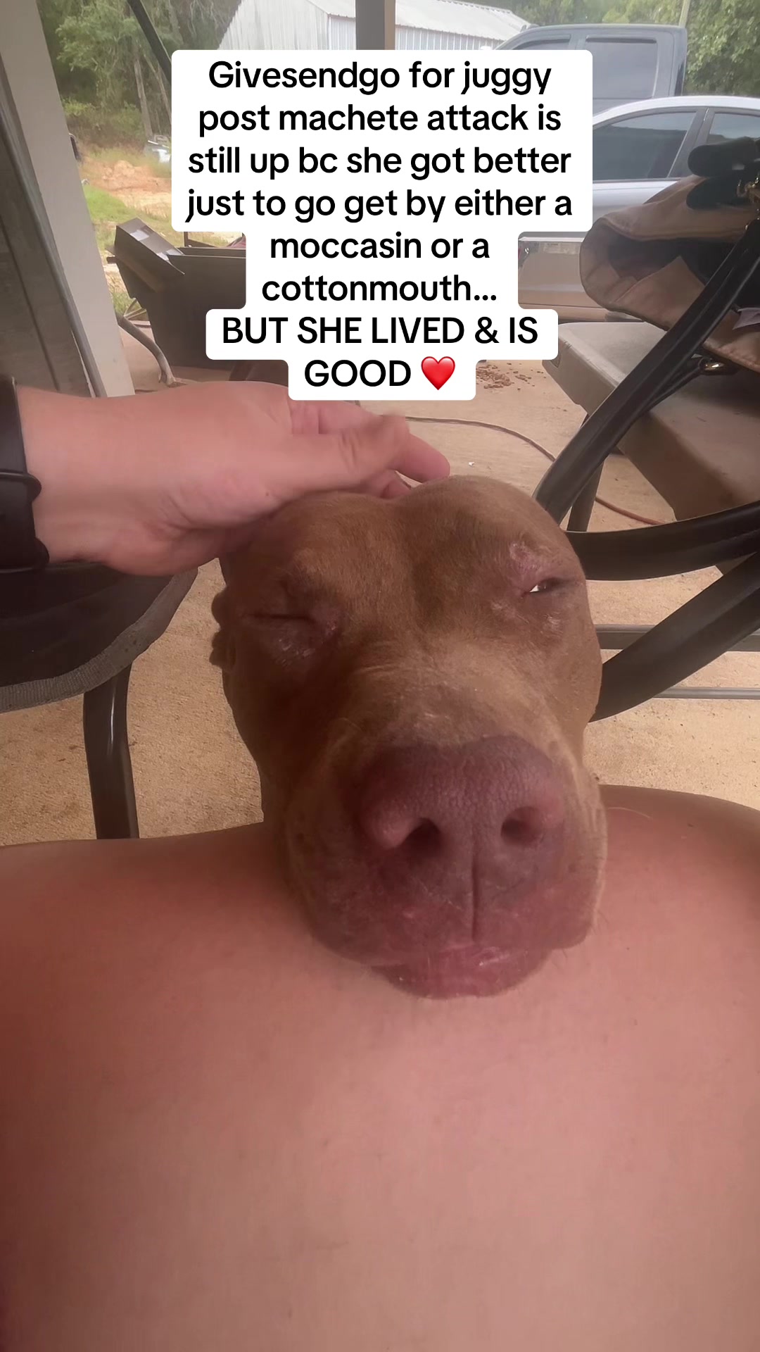 @ashtynk55