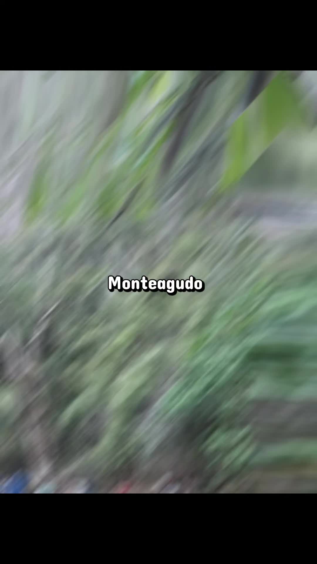 @Claudia Camacho