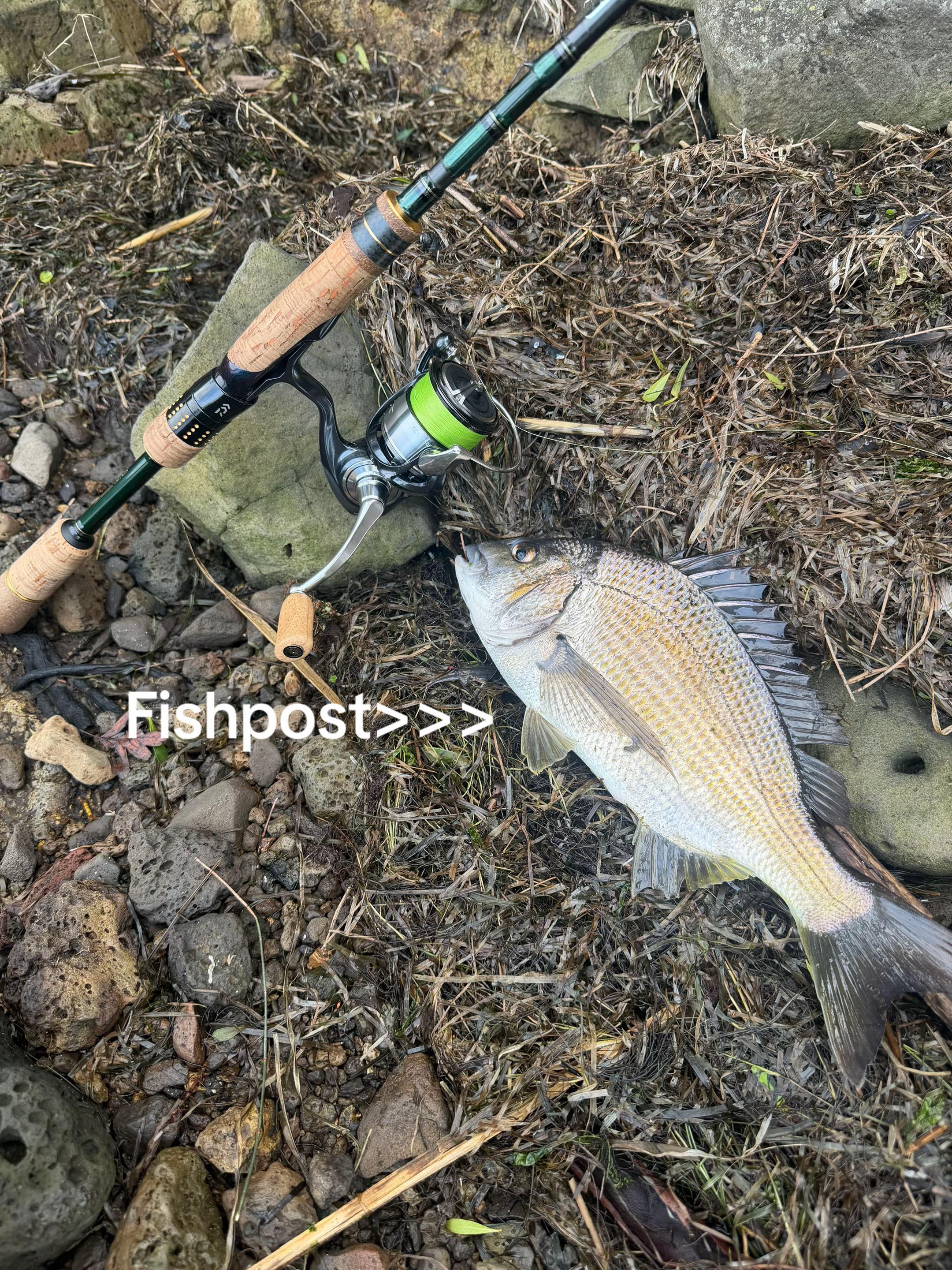 @fishing_southtas