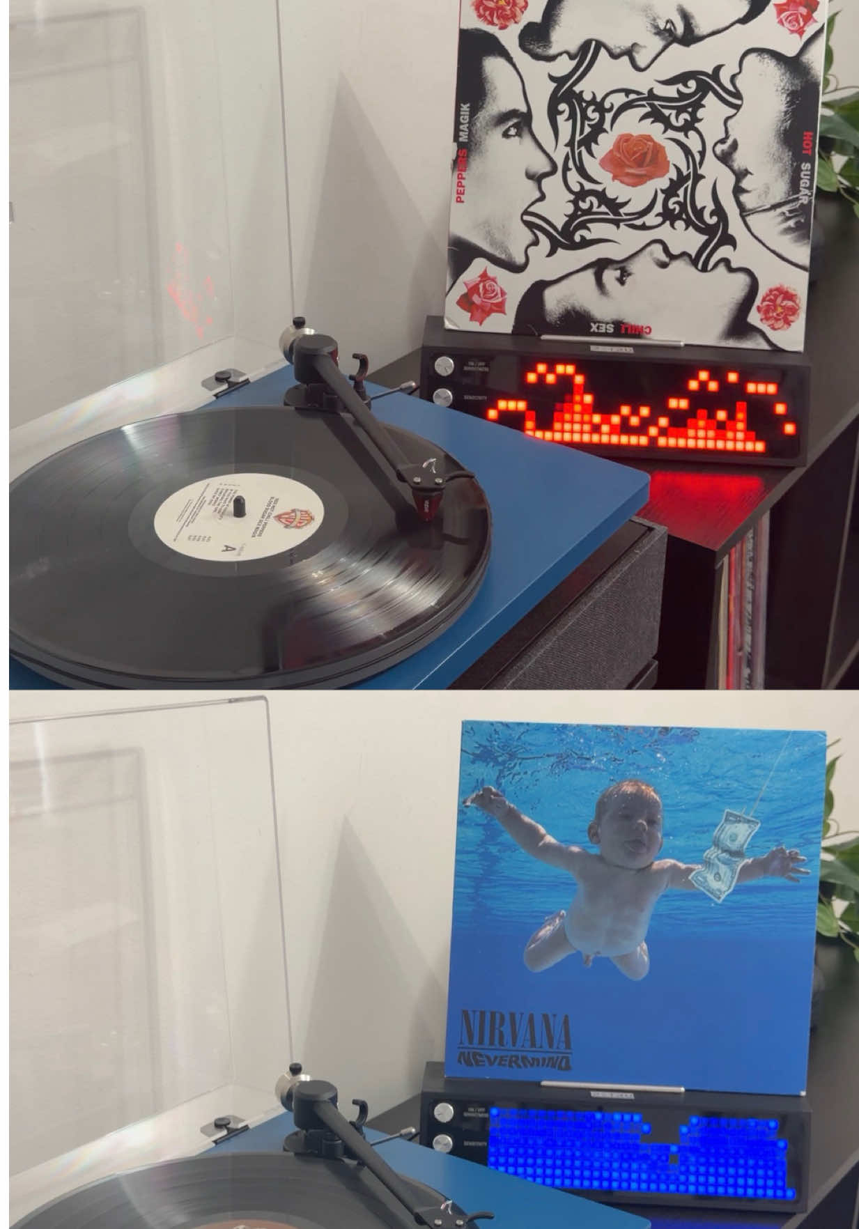 @Alex&rsquo;s Vinyl