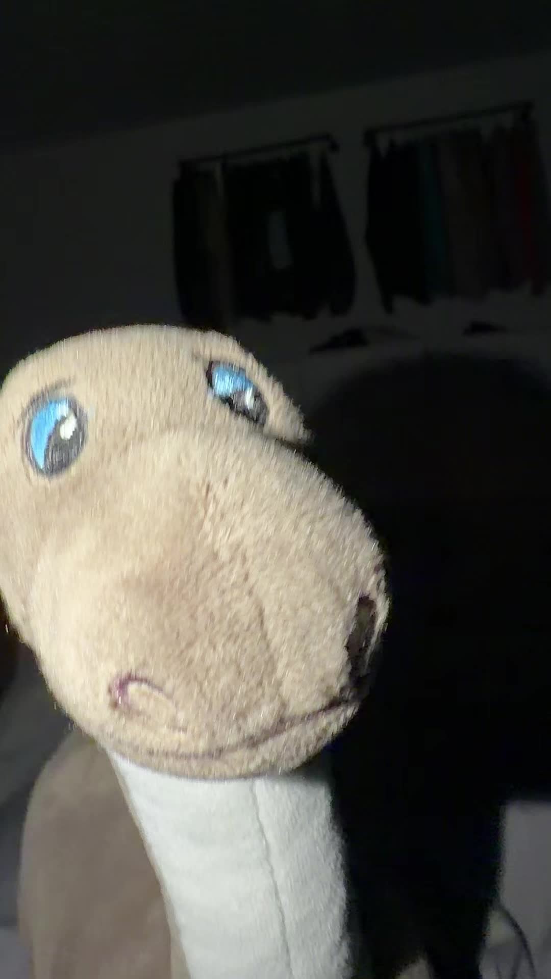 @Dinolino🦕