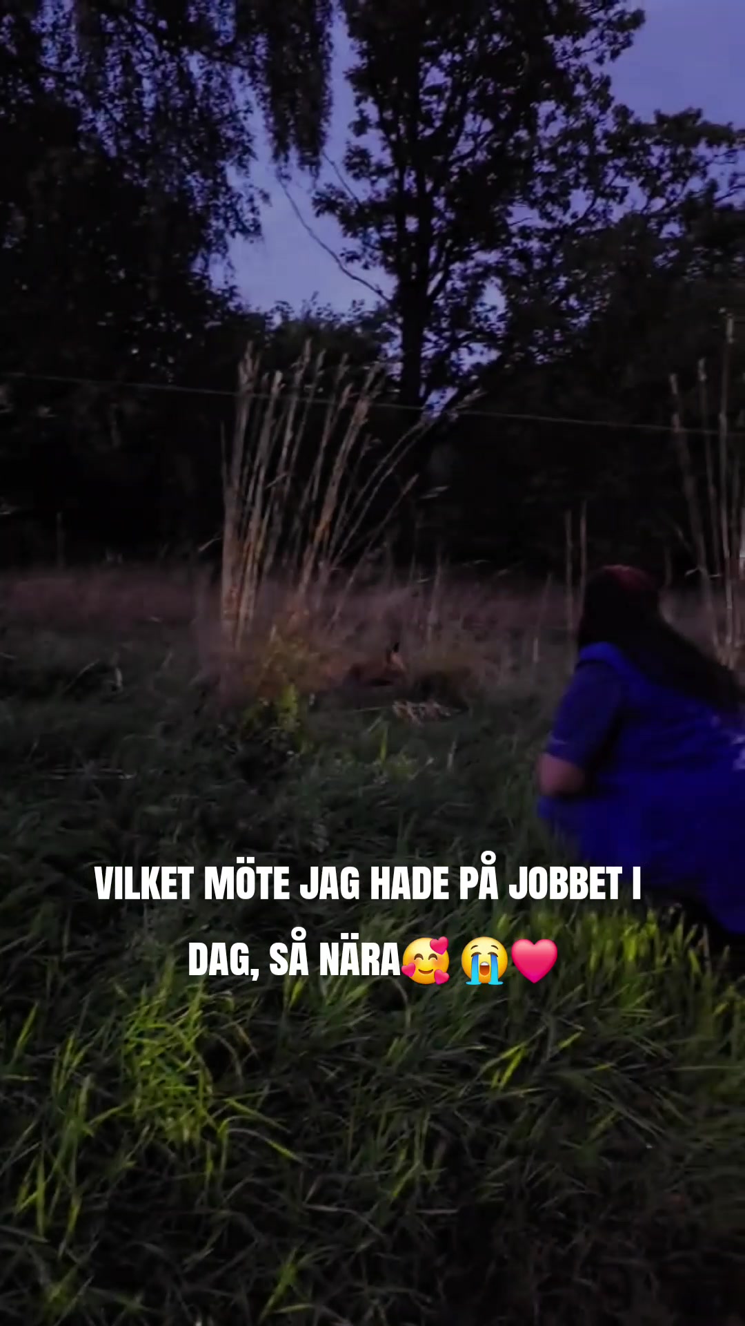 @❤️Jenny Friberg❤️