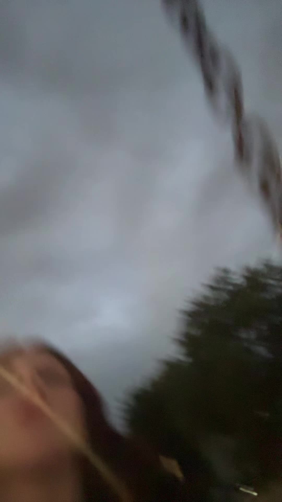 @𝓐𝓵𝔂𝓼𝓼𝓪