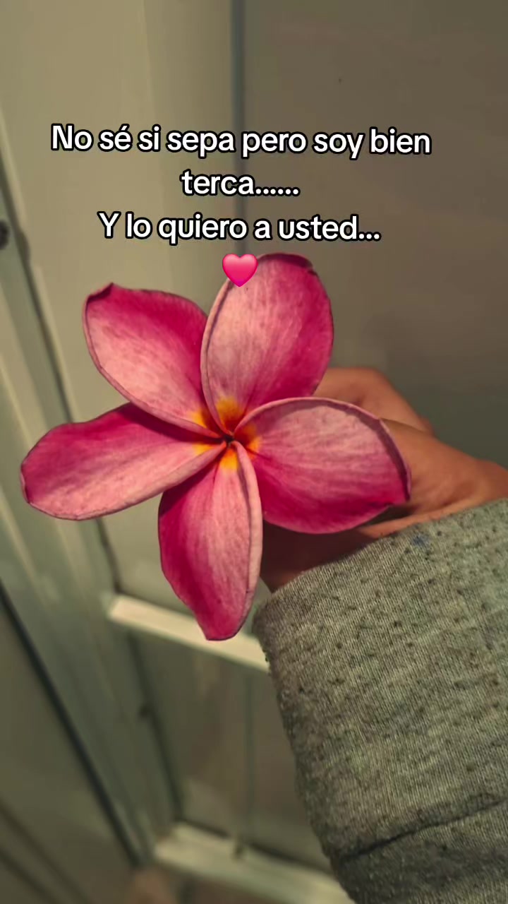@mily 🌻