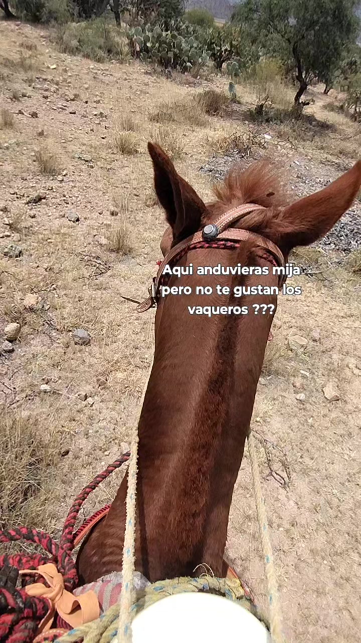 @Herrera 55333