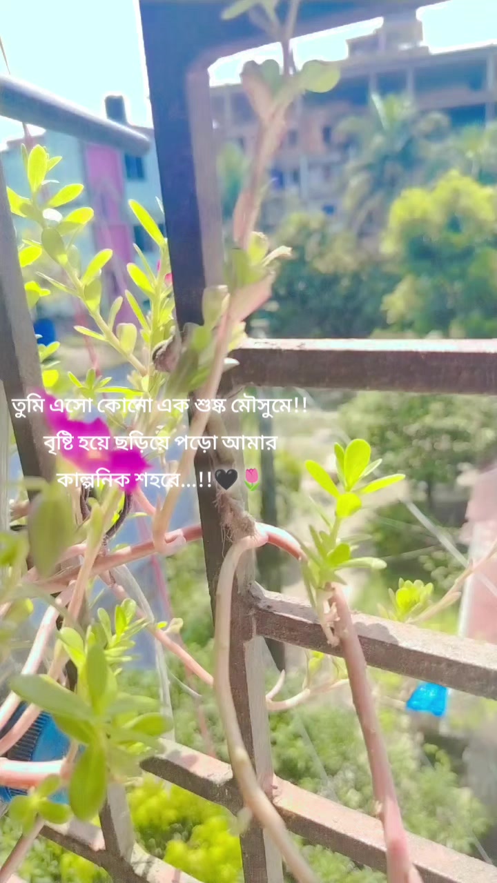 @Abida Farhan
