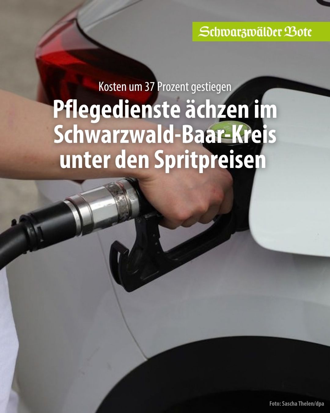 @Schwarzw&auml;lder Bote