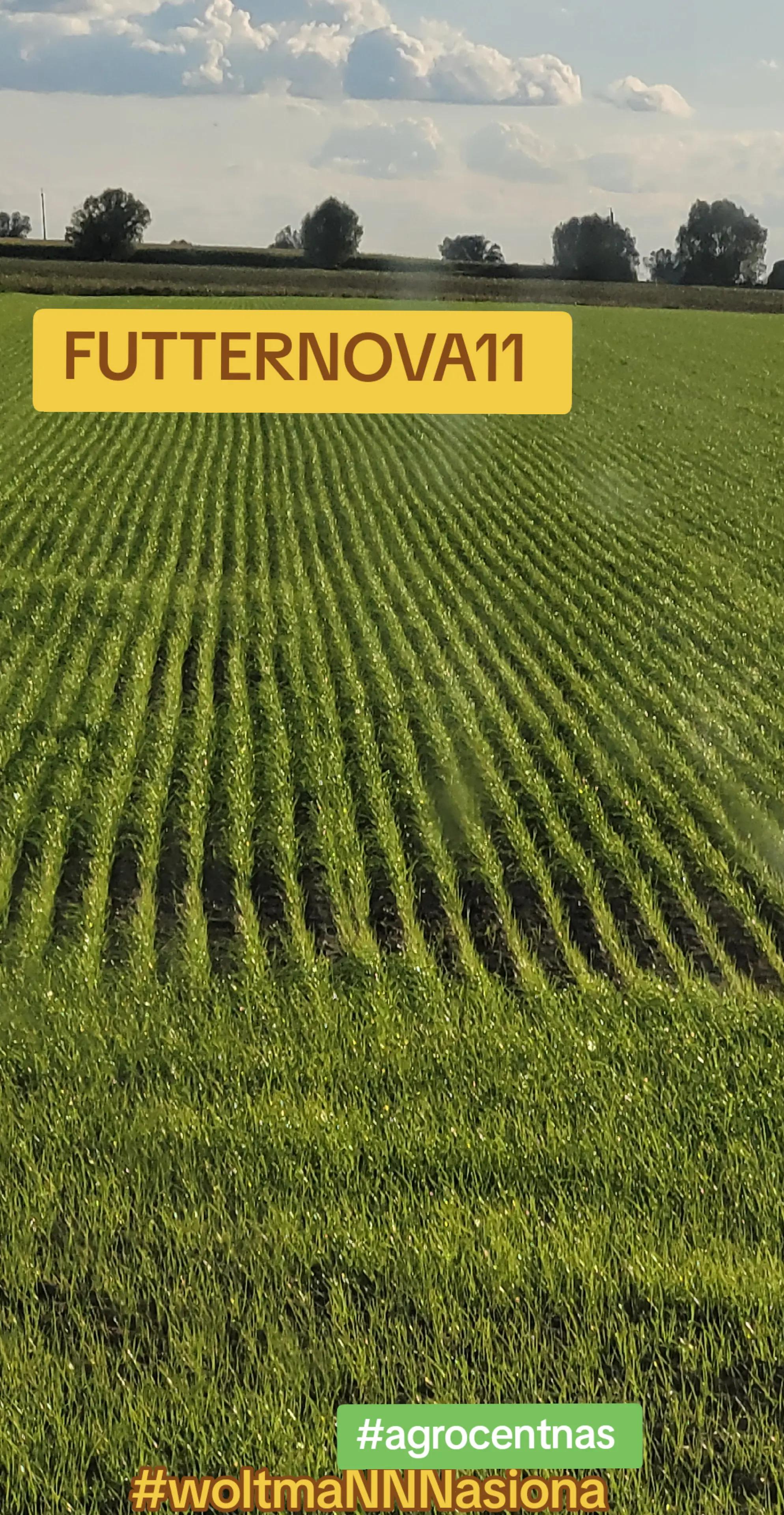 @WOLTMANNNASIONA