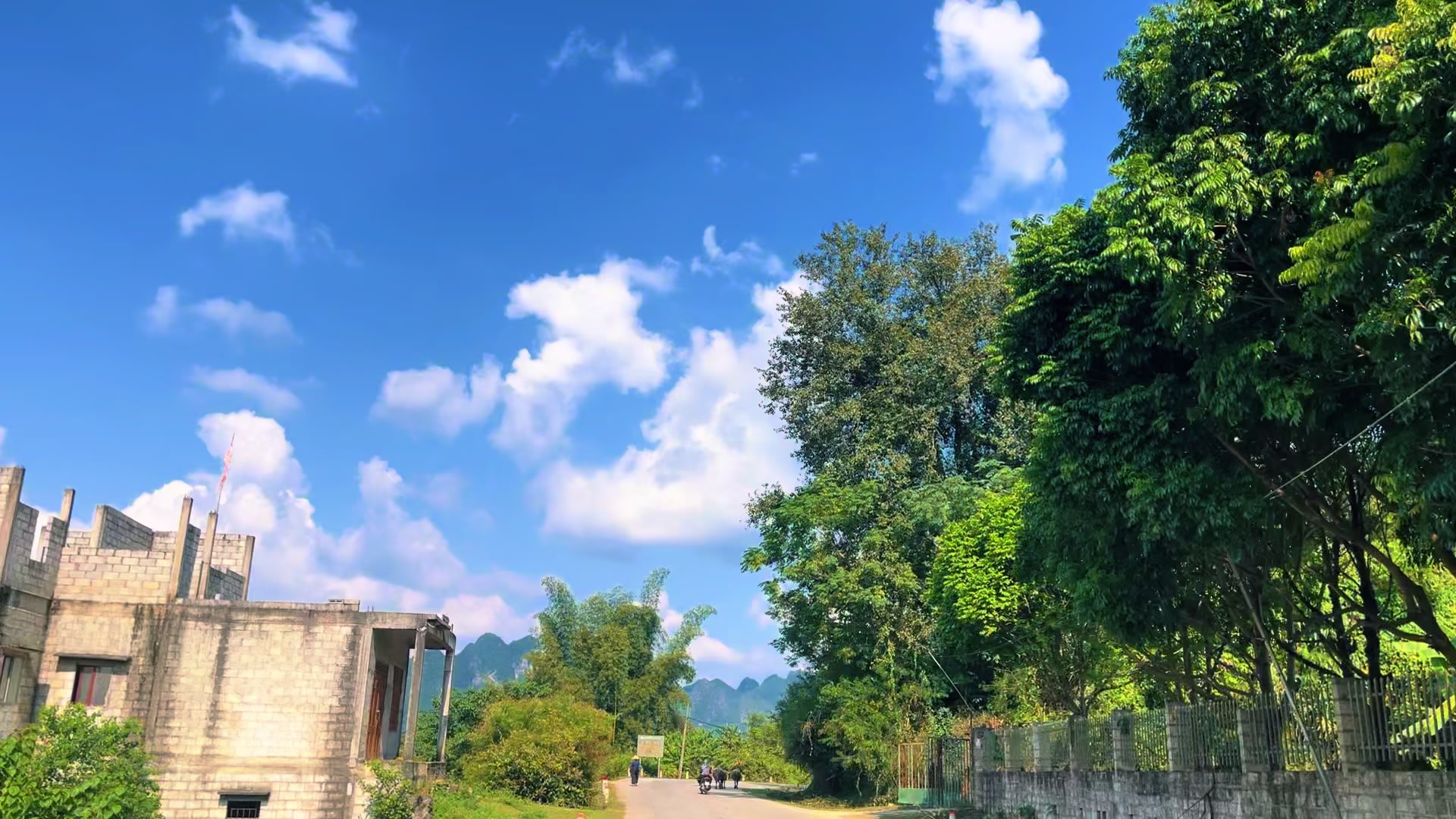 @Bạch Du Lịch
