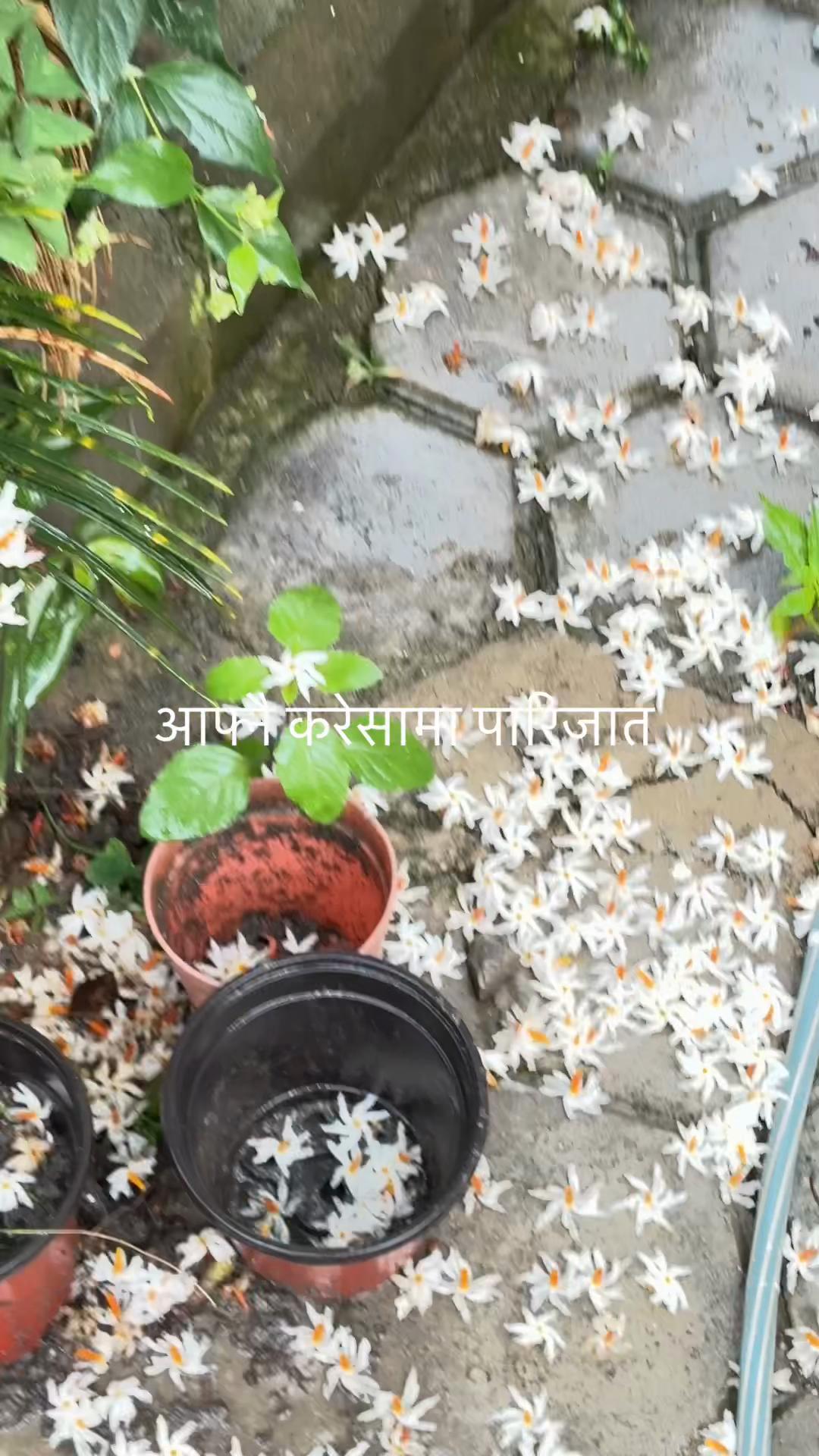 @Manisha 33:33