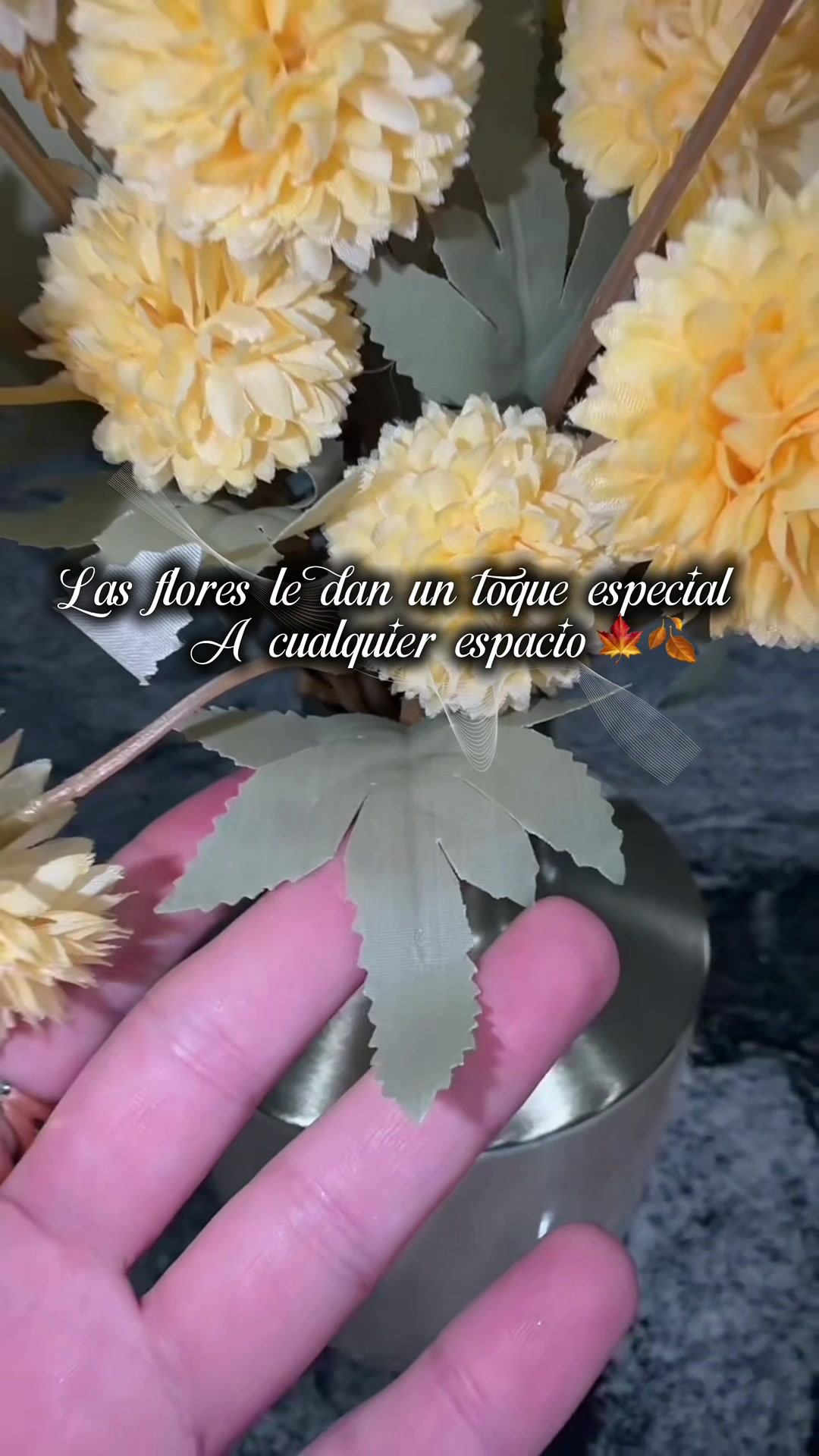 @🎀LisetGC🎀