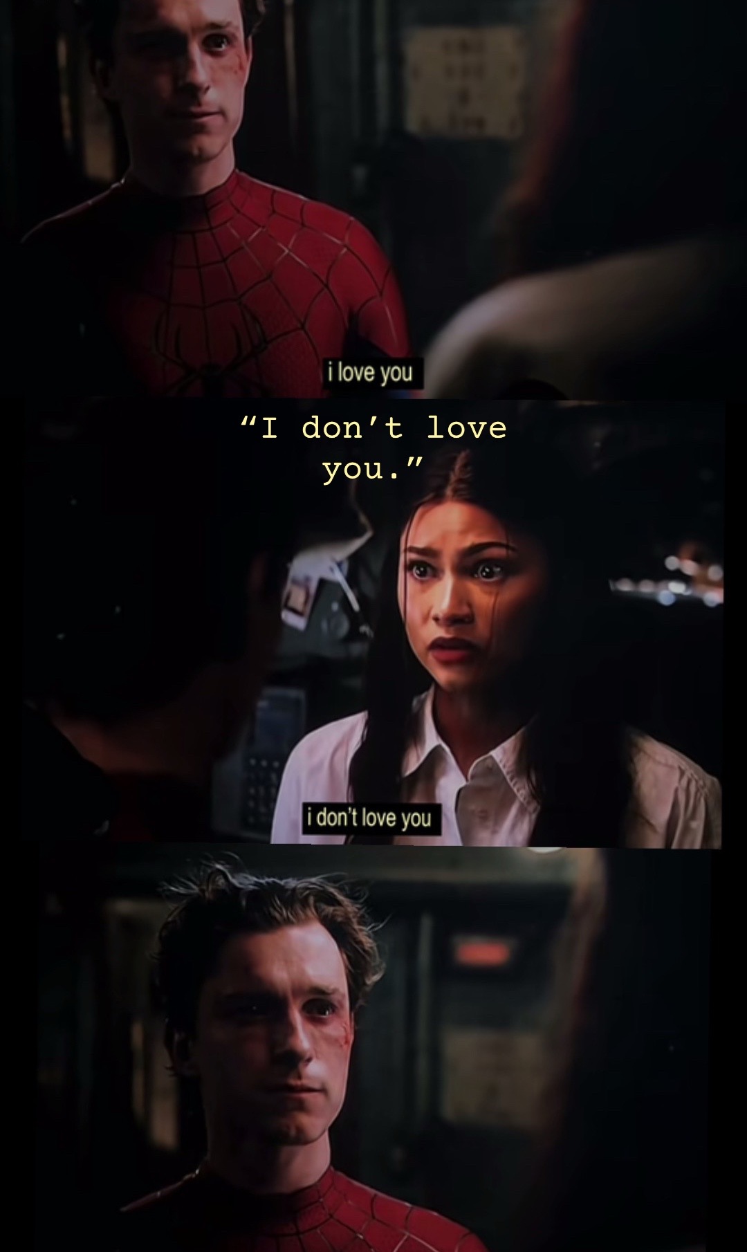 @C⎊🕸️