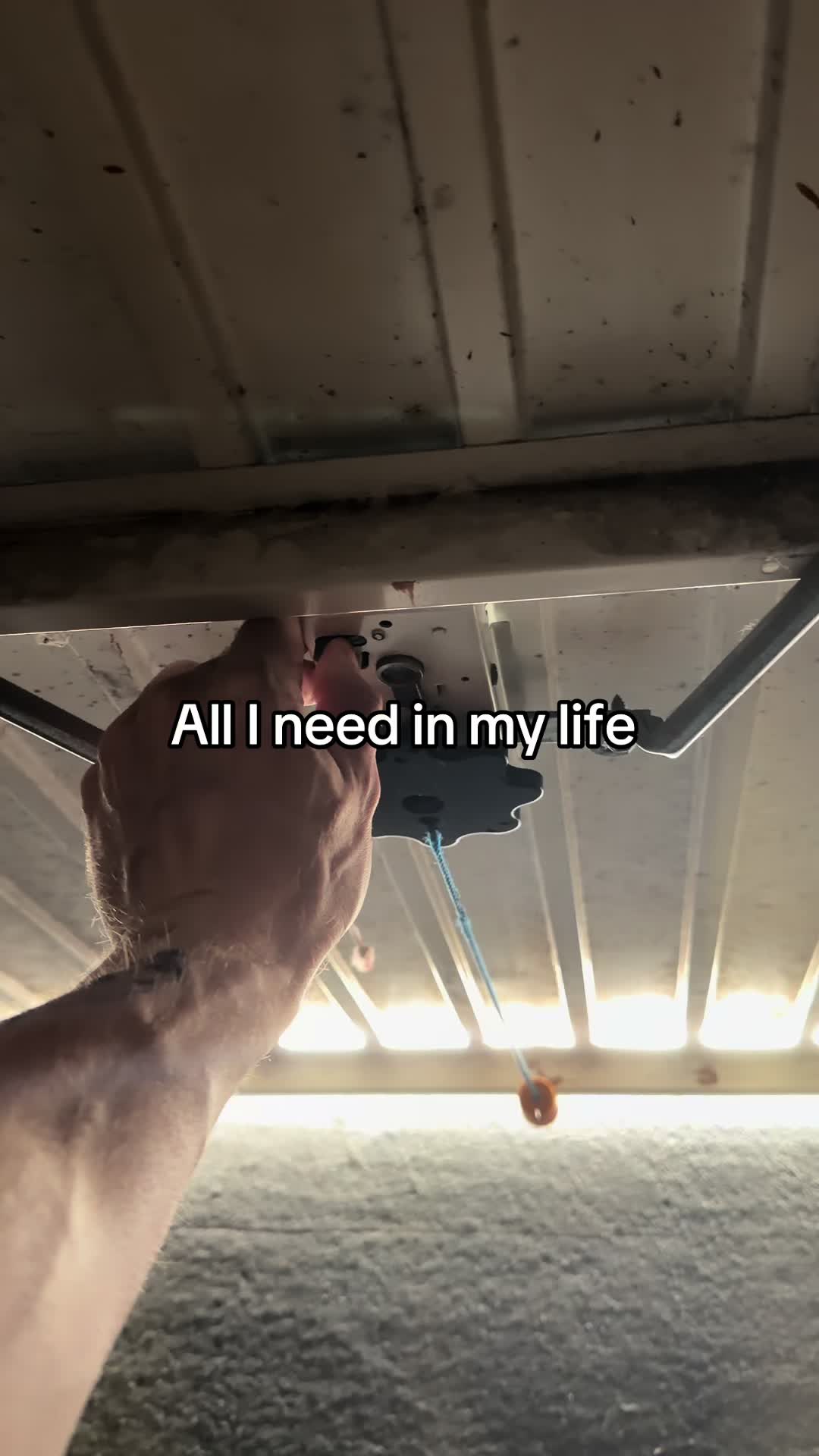 @Yellow 🐍