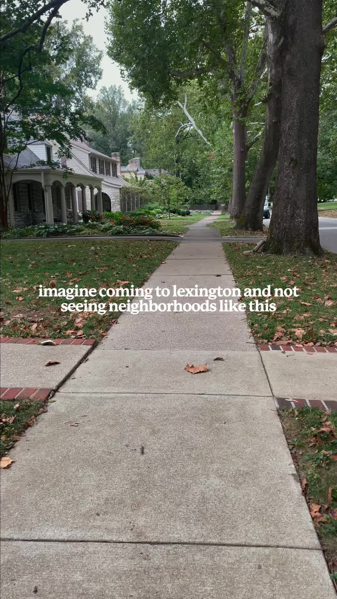 @livengoodinlex